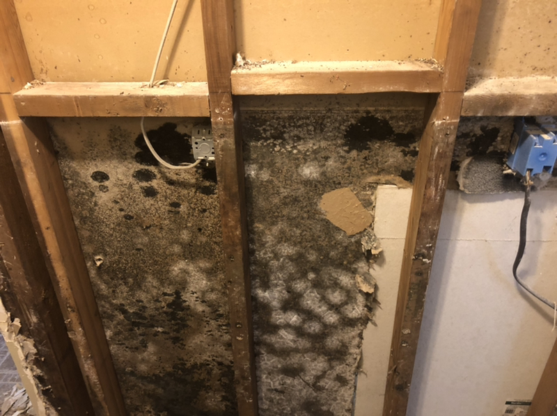 Recromax - Florida's Premier Restoration Services Company|Water / Mold Wildwood FL